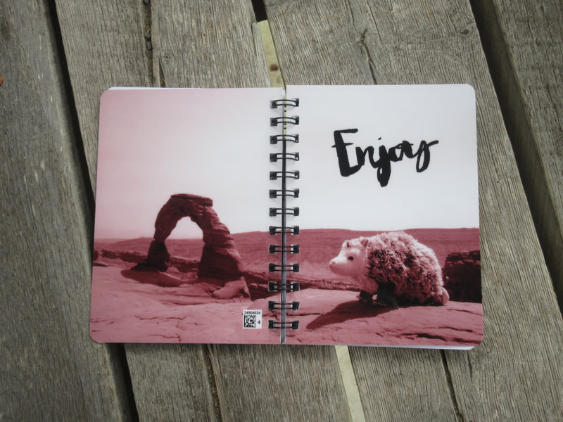 Douglas Furr at Delicate Arch blank lined notebook